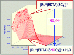 Graphical abstract: RuIII(EDTA) mediated S-nitrosylation of cysteine by nitrite