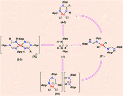 Graphical abstract: Cyclic six-membered palladium complexes derived from palladium mediated C–N coupling of organonitrile and formamidine
