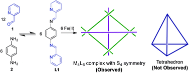 Graphical abstract: Self-assembly of a M4L6 complex with unexpected S4 symmetry