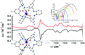 Graphical abstract: Chiral mononuclear lanthanide complexes and the field-induced single-ion magnet behaviour of a Dy analogue