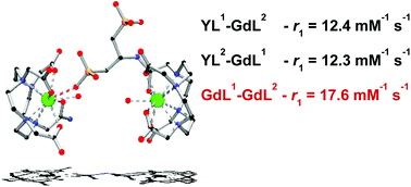 Graphical abstract: Optimizing the high-field relaxivity by self-assembling of macrocyclic Gd(iii) complexes