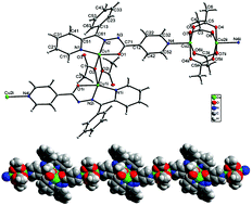 Graphical abstract: Synthesis, structure, magnetic properties and EPR spectroscopy of a copper(ii) coordination polymer with a ditopic hydrazone ligand and acetate bridges