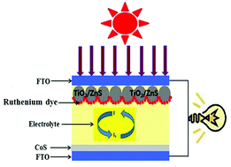 Graphical abstract: A strategy to enhance the efficiency of dye-sensitized solar cells by the highly efficient TiO2/ZnS photoanode