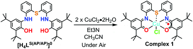 Graphical abstract: Unprecedented iminobenzosemiquinone and iminobenzoquinone coordinated mononuclear Cu(ii) complex formation under air