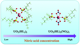 Graphical abstract: Theoretical studies on the AnO2n+ (An = U, Np; n = 1, 2) complexes with di-(2-ethylhexyl)phosphoric acid