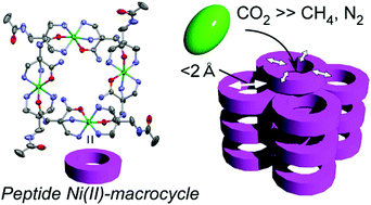 Graphical abstract: Selective CO2 gas adsorption in the narrow crystalline cavities of flexible peptide metallo-macrocycles