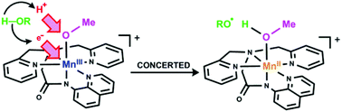 Graphical abstract: O–H bond oxidation by a monomeric MnIII–OMe complex