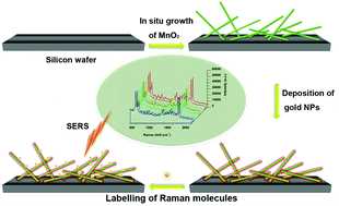 Graphical abstract: In situ controlled sputtering deposition of gold nanoparticles on MnO2 nanorods as surface-enhanced Raman scattering substrates for molecular detection