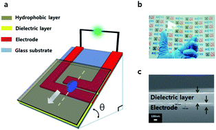 Graphical abstract: An effective energy harvesting method from a natural water motion active transducer