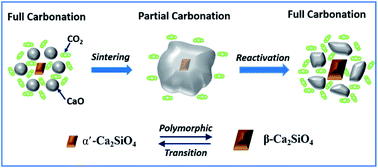 Graphical abstract: A novel calcium looping absorbent incorporated with polymorphic spacers for hydrogen production and CO2 capture