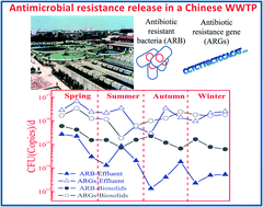Graphical abstract: Monitoring and assessing the impact of wastewater treatment on release of both antibiotic-resistant bacteria and their typical genes in a Chinese municipal wastewater treatment plant