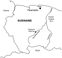 Graphical abstract: Neurological abnormalities in a mercury exposed population among indigenous Wayana in Southeast Suriname