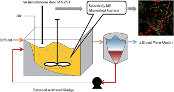 Graphical abstract: Filamentous sludge bulking control by nano zero-valent iron in activated sludge treatment systems
