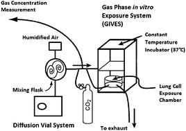 Graphical abstract: Application of chemical vapor generation systems to deliver constant gas concentrations for in vitro exposure to volatile organic compounds