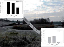 Graphical abstract: Removal of micropollutants, facultative pathogenic and antibiotic resistant bacteria in a full-scale retention soil filter receiving combined sewer overflow