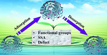 Graphical abstract: Surface functional groups and defects on carbon nanotubes affect adsorption–desorption hysteresis of metal cations and oxoanions in water
