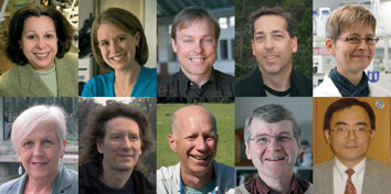 Graphical abstract: Meet the Environmental Science: Nano Editorial Board Members