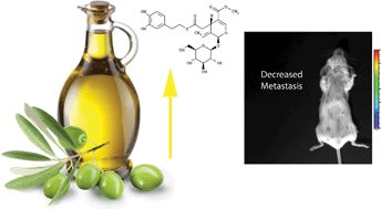 Graphical abstract: Virgin olive oil phenolics extract inhibit invasion of HT115 human colon cancer cells in vitro and in vivo