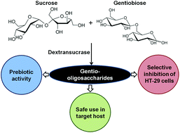 Graphical abstract: Gentio-oligosaccharides from Leuconostoc mesenteroides NRRL B-1426 dextransucrase as prebiotics and as a supplement for functional foods with anti-cancer properties