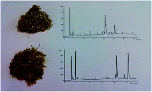 Graphical abstract: Infusions of artichoke and milk thistle represent a good source of phenolic acids and flavonoids