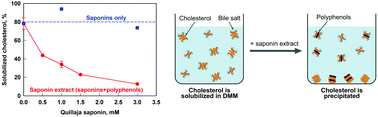 Graphical abstract: Mechanisms of cholesterol and saturated fatty acid lowering by Quillaja saponaria extract, studied by in vitro digestion model
