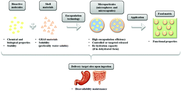 Graphical abstract: Microencapsulation of bioactives for food applications