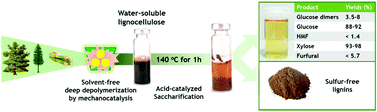 Graphical abstract: Fractionation of ‘water-soluble lignocellulose’ into C5/C6 sugars and sulfur-free lignins