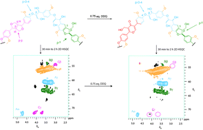 Graphical abstract: Selective modification of the β–β linkage in DDQ-treated Kraft lignin analysed by 2D NMR spectroscopy