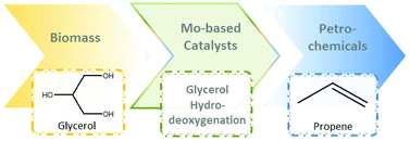 Graphical abstract: One-step propylene formation from bio-glycerol over molybdena-based catalysts