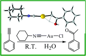 Graphical abstract: Hydration of alkynes at room temperature catalyzed by gold(i) isocyanide compounds