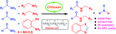 Graphical abstract: Chitosan: an efficient recyclable catalyst for transamidation of carboxamides with amines under neat conditions