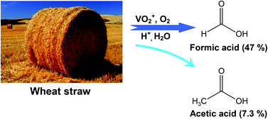 Graphical abstract: Conversion of wheat straw into formic acid in NaVO3–H2SO4 aqueous solution with molecular oxygen