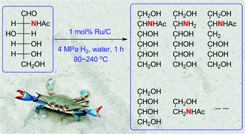 Graphical abstract: Conversion of chitin derived N-acetyl-d-glucosamine (NAG) into polyols over transition metal catalysts and hydrogen in water