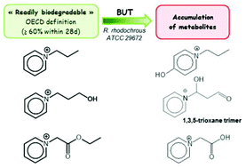 Graphical abstract: When can ionic liquids be considered readily biodegradable? Biodegradation pathways of pyridinium, pyrrolidinium and ammonium-based ionic liquids