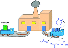 Graphical abstract: Catalytic routes towards acrylic acid, adipic acid and ε-caprolactam starting from biorenewables
