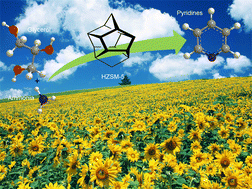 Graphical abstract: Towards the sustainable production of pyridines via thermo-catalytic conversion of glycerol with ammonia over zeolite catalysts
