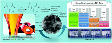 Graphical abstract: High-grade diesel production by hydrodeoxygenation of palm oil over a hierarchically structured Ni/HBEA catalyst