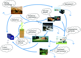 Graphical abstract: Greening the global phosphorus cycle: how green chemistry can help achieve planetary P sustainability