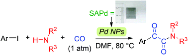 Graphical abstract: Double carbonylation of aryl iodides with amines under an atmospheric pressure of carbon monoxide using sulfur-modified Au-supported palladium