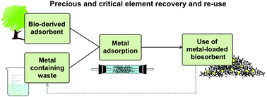 Graphical abstract: Bio-derived materials as a green route for precious & critical metal recovery and re-use