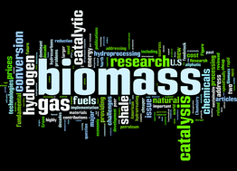 Graphical abstract: Biomass at the shale gas crossroads