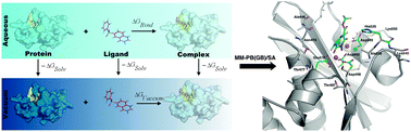 Graphical abstract: Binding free energy based structural dynamics analysis of HIV-1 RT RNase H–inhibitor complexes