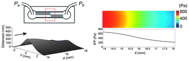 Graphical abstract: Non-invasive mapping of interstitial fluid pressure in microscale tissues