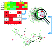 Graphical abstract: Computational Integrative Biology – on the joint analysis of diverse biological data sets