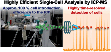 Graphical abstract: Highly efficient single-cell analysis of microbial cells by time-resolved inductively coupled plasma mass spectrometry