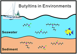 Graphical abstract: C18-coated stir bar sorptive extraction combined with HPLC-ICP-MS for the speciation of butyltins in environmental samples