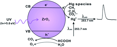 Graphical abstract: Determination and speciation of Hg using HPLC-AFS by atomization of this metal on a UV/nano-ZrO2/HCOOH photocatalytic reduction unit