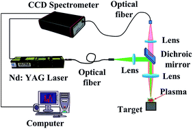 Graphical abstract: Laser-induced breakdown spectroscopy using laser pulses delivered by optical fibers for analyzing Mn and Ti elements in pig iron