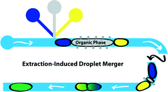 Graphical abstract: Fluoropolymer surface coatings to control droplets in microfluidic devices