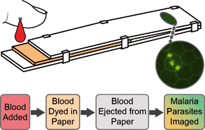 Graphical abstract: A paper microfluidic cartridge for automated staining of malaria parasites with an optically transparent microscopy window